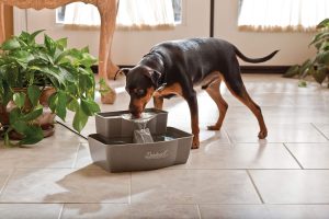 PetSafe Drinkwell Platinum Cat and Dog Water Fountain